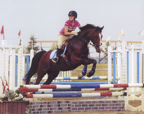 Fire N Rein Amberlea Meadows Jumper 2006